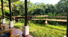 Hacienda Mil Bellezas - Private 40ha Jungle Reserve - Image 5