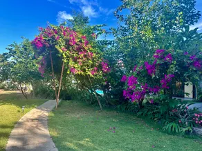 Sanur ocean view villas - Image 2