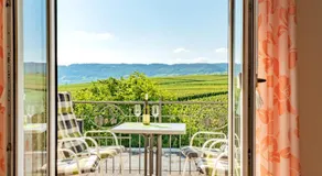 Ferienweingut Winnebeck - Image 3
