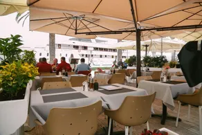 Tragos Lemon Tree - Image 3
