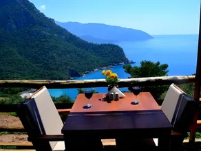 Olive Garden Kabak - Image 4