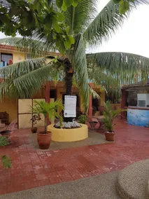 Treasure Island Beach Resort - Image 3