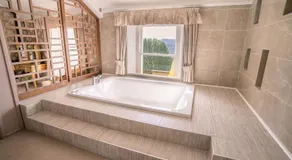 Court Colman Manor - Image 3