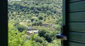Le tre querce di casa mia - Image 5