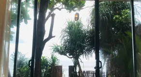 La Brisa By Harry Beach Villa - Image 4