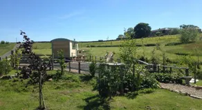 Lizzie off grid Shepherds Hut The Buteland Stop - Image 5