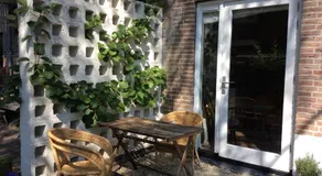 B&B PeperZzz - Image 3