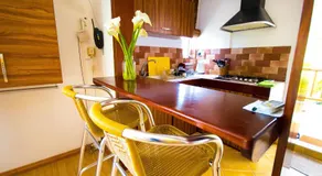 Pingo Studio - Image 4