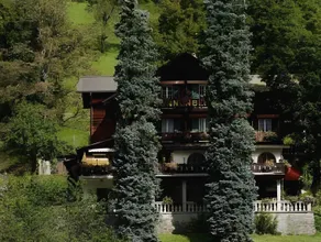 Hotel Sonnenberg - Image 4