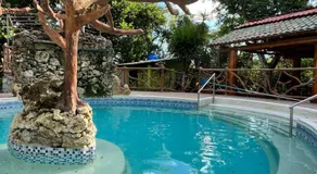 SPA Ambiental Los Alpes - Image 3