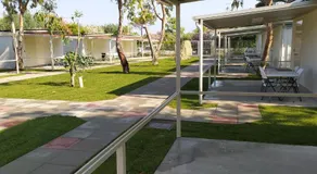 Tropical Suite - Image 3
