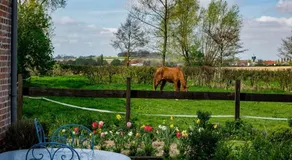Manoir du Kasteelveld - Image 5