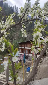 Himalayan House Shringi Vatika - Image 2