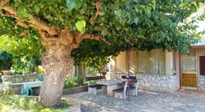 Apartments With Parking Space Babici, Umag - 22437 - Image 4