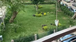 المهندسين جامعه الدول - Image 5