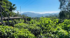 Show me lanka campsite & cottage - Image 2
