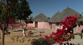 Osian Dhani Rajasthan - Image 3