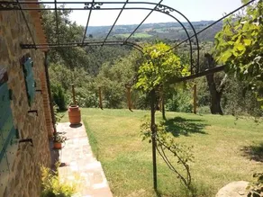 La Giuiaia - Agriturismo Azienda Agricola - Image 5