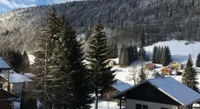 APPARTEMENT DE MONTAGNE - Image 3