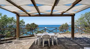 Licosa Paradise - Image 3