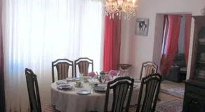 Wisteria - Image 5