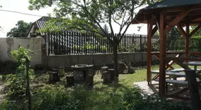 Homoky Pincészet és Vendégház - Image 3