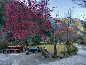 溪景生態農莊 桃園市民宿037號 - Image 5