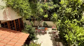Ostria - Image 5