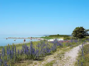 star holiday home in VISBY-By Traum - Image 3