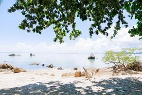 Lamai Bayview Boutique Resort - Image 5