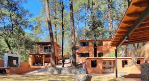 Bosque de Avandaro - Image 5