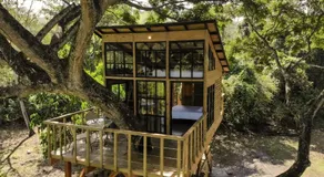 Casa en el Arbol - Image 5
