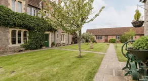 Oak Tree - Image 4