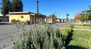 Royal Inn and Suites - Image 4