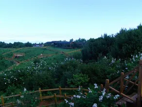 Yesanpo Baicaopan Pastoral Ode Farm Stay - Image 4