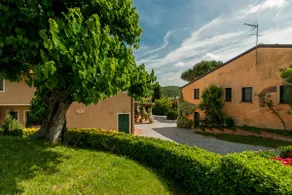 Buon Riposo - Bauernhaus im Herzen der Toskana mit kostenlosem WIFI-Bereich - Image 2