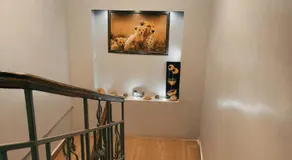 Kericho Finest Home - Image 3