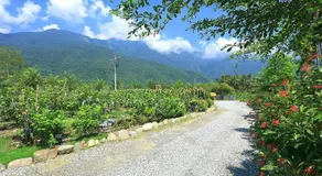 Gully Orchard Homestay - Image 5