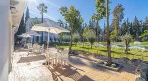 Cubo's NAZ Country Resort - Image 3