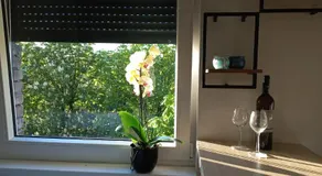 Apartman Jakša - Image 4