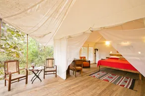 Jamtara Wilderness Camp - Pench National Park - Image 2
