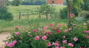 Gite de la Maison Fort - Image 4