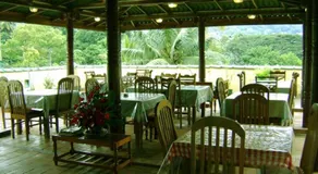 Palm Garden Home Stay - Image 4