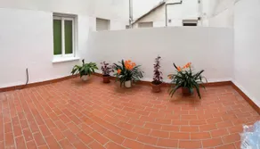 DS Apartamento Plaza Colón - Image 4