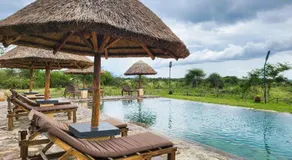 Zebra kemangore Bush Tented Lodge - Image 3