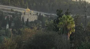 דירת נופש - עין כרם - Image 5