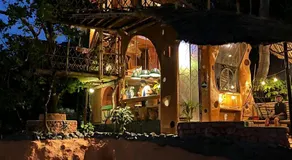 Taiga Forest Mountain Tree house - Image 5