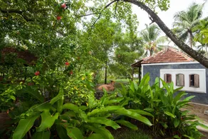 Kayal Island Retreat - Image 4