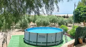 VENTA PURA - Image 4