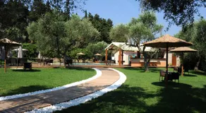 Eleas gi (Olive Grove Estate) - Image 5